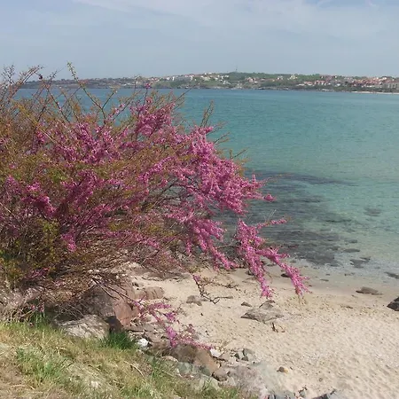 Odesa Διαμέρισμα